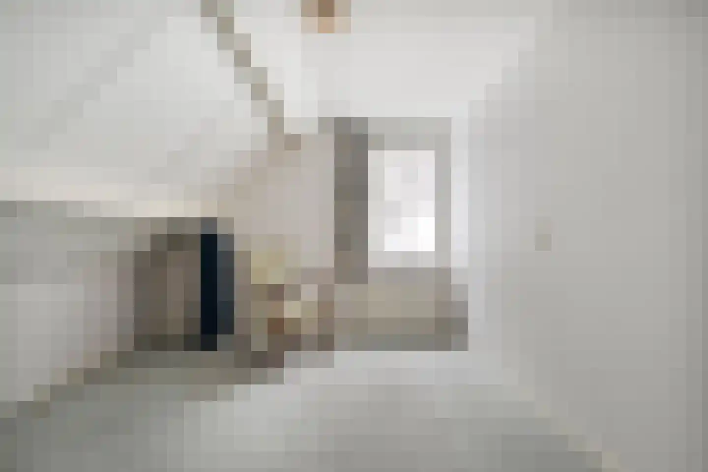 Waterlelie 11 Hardenberg thumbnail 28