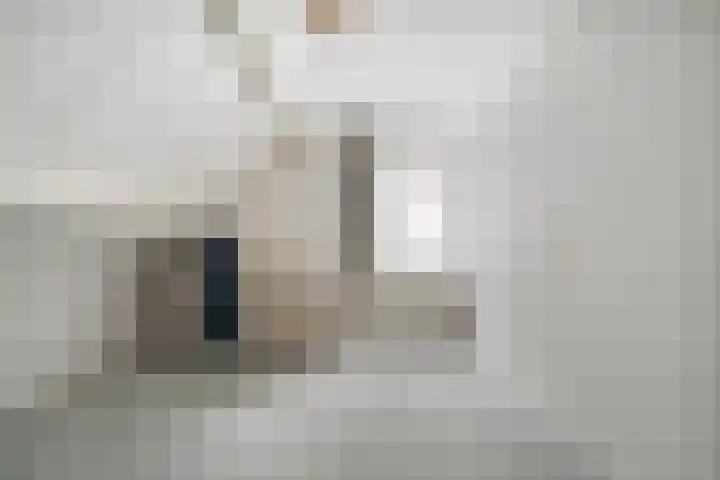 Waterlelie 11 Hardenberg thumbnail 28