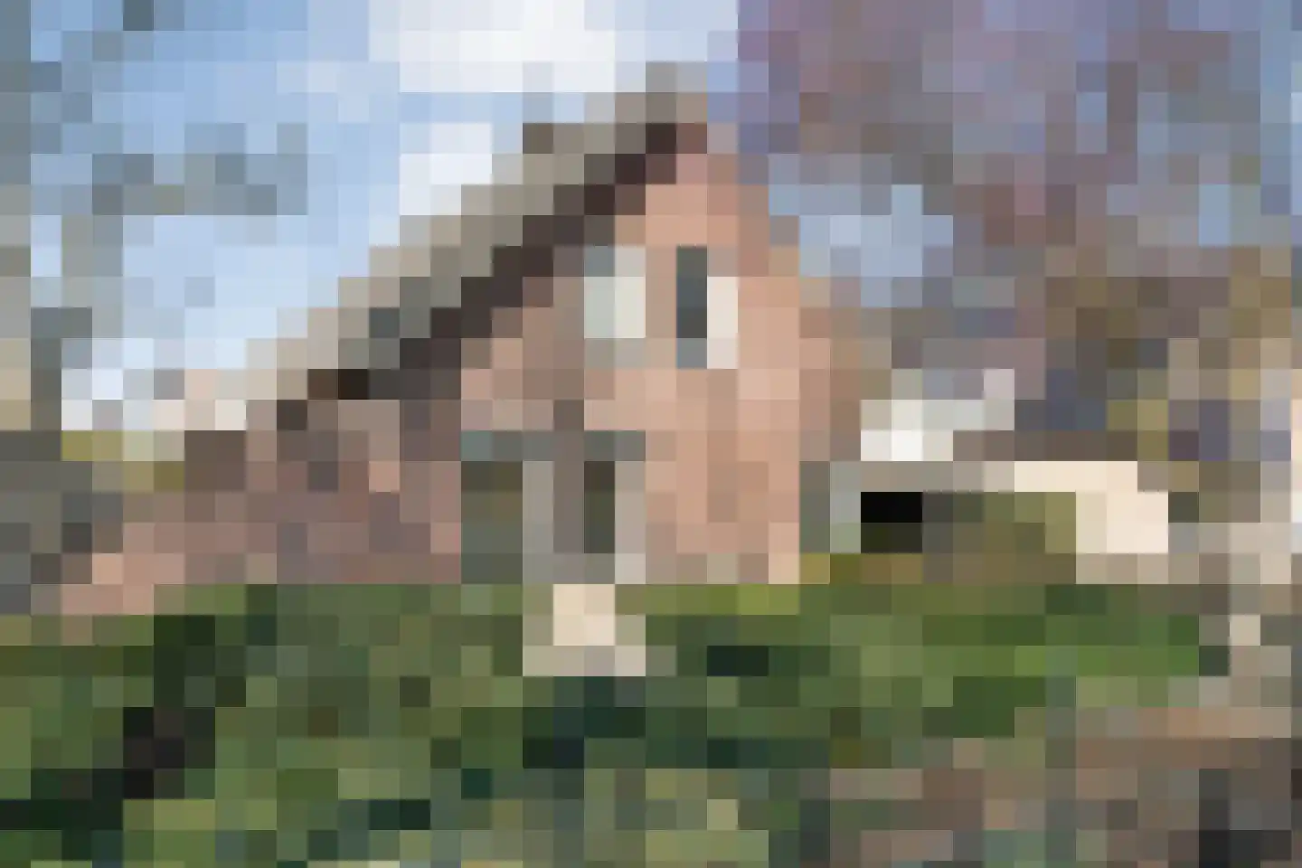 Waterlelie 11 Hardenberg foto 3