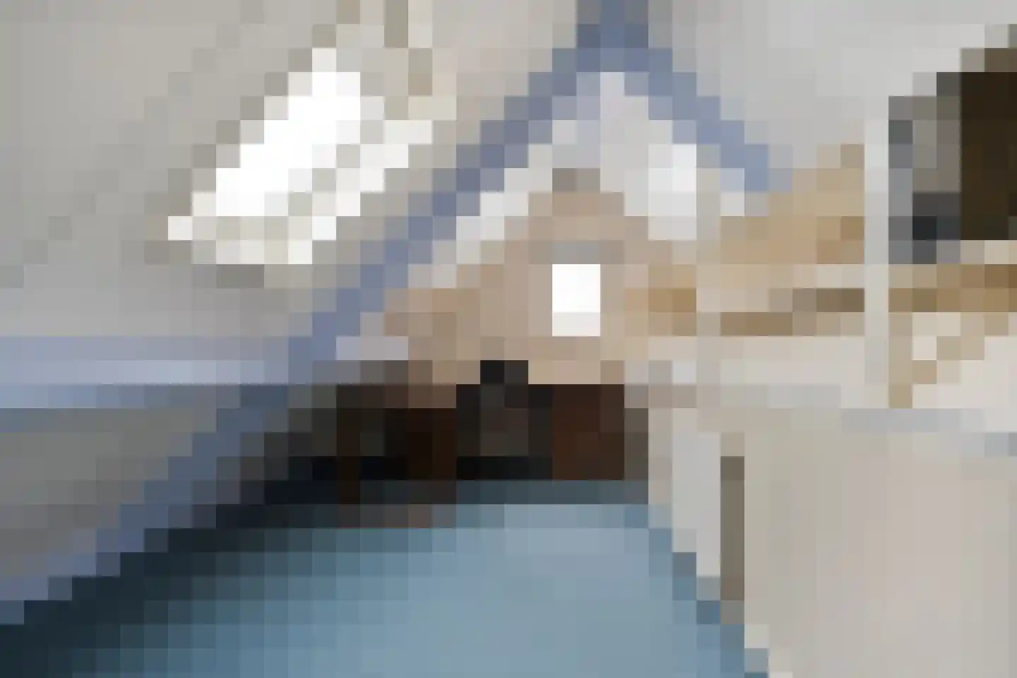 Waterlelie 11 Hardenberg thumbnail 33