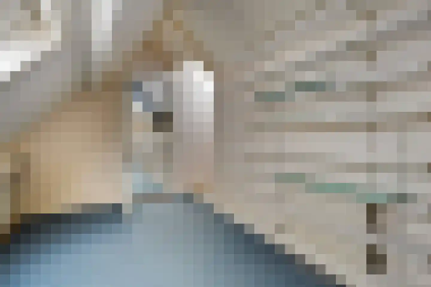 Waterlelie 11 Hardenberg thumbnail 35