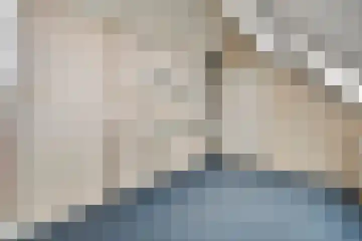 Waterlelie 11 Hardenberg thumbnail 36