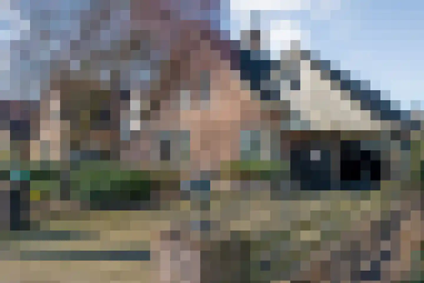 Waterlelie 11 Hardenberg thumbnail 37