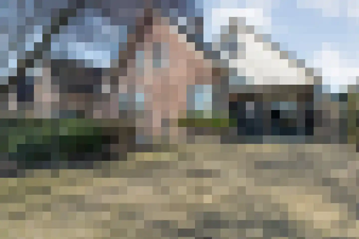 Waterlelie 11 Hardenberg thumbnail 38
