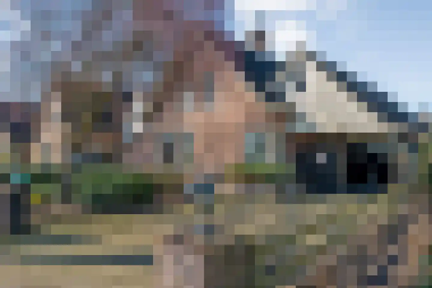 Waterlelie 11 Hardenberg thumbnail 39