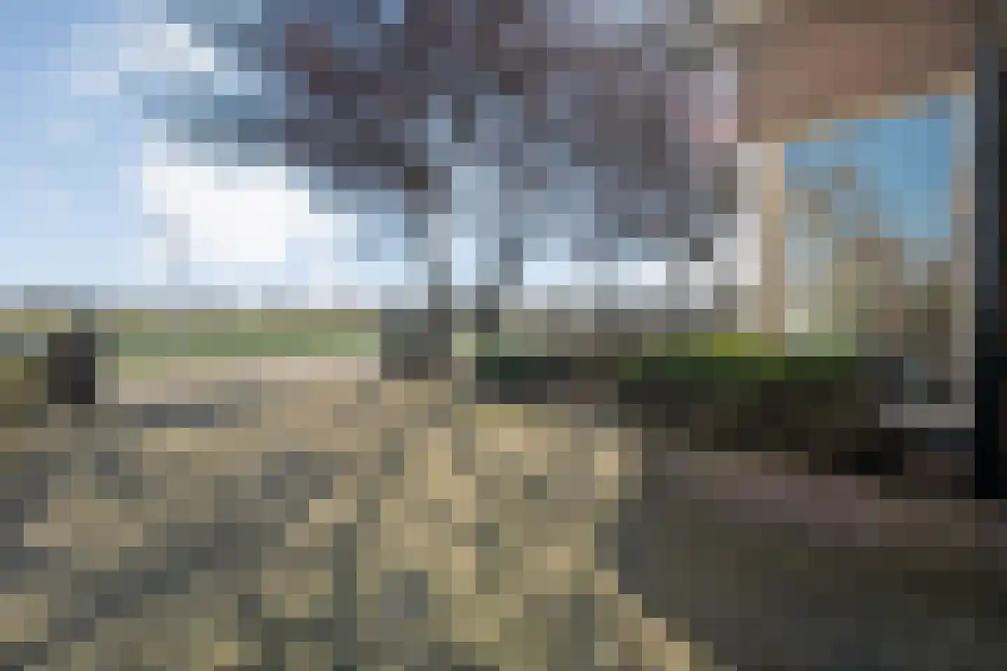 Waterlelie 11 Hardenberg thumbnail 4