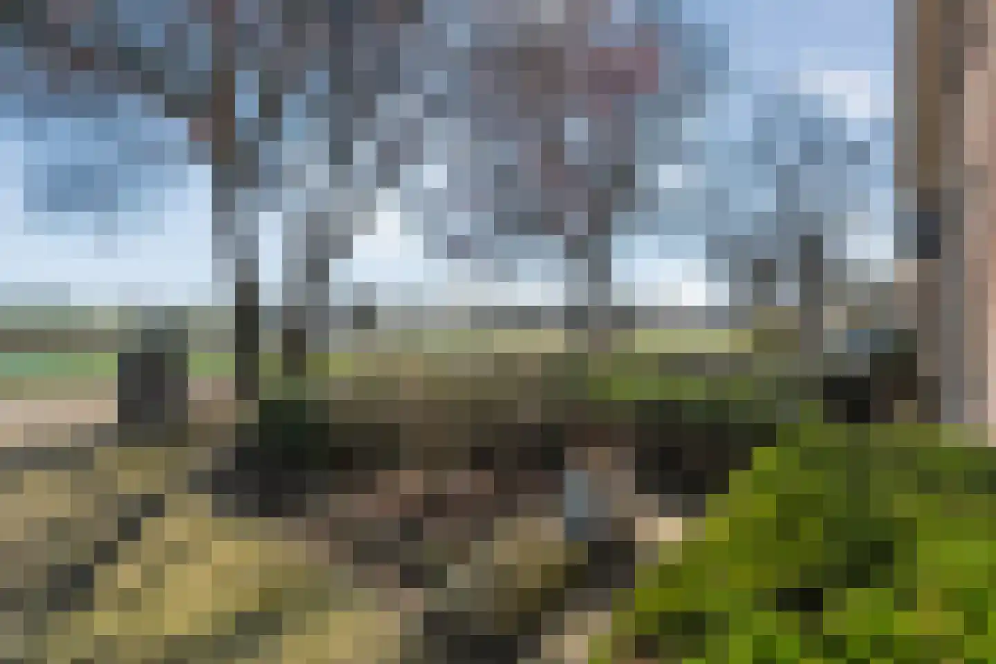 Waterlelie 11 Hardenberg thumbnail 40