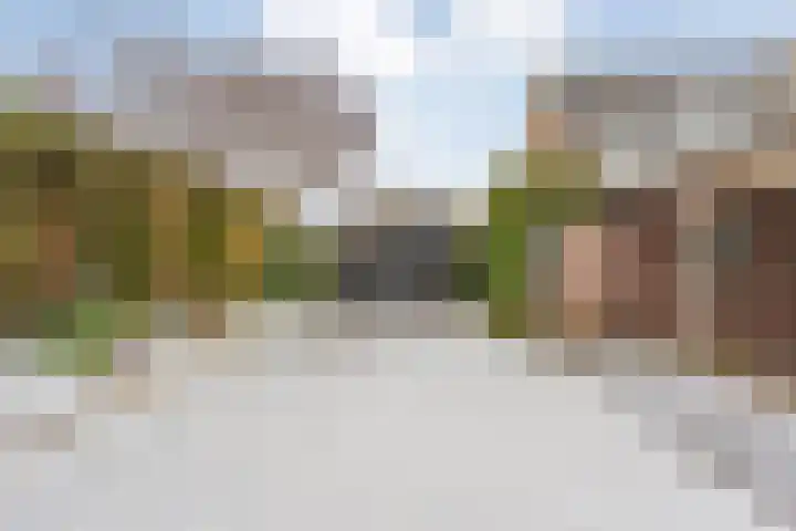 Waterlelie 11 Hardenberg thumbnail 41
