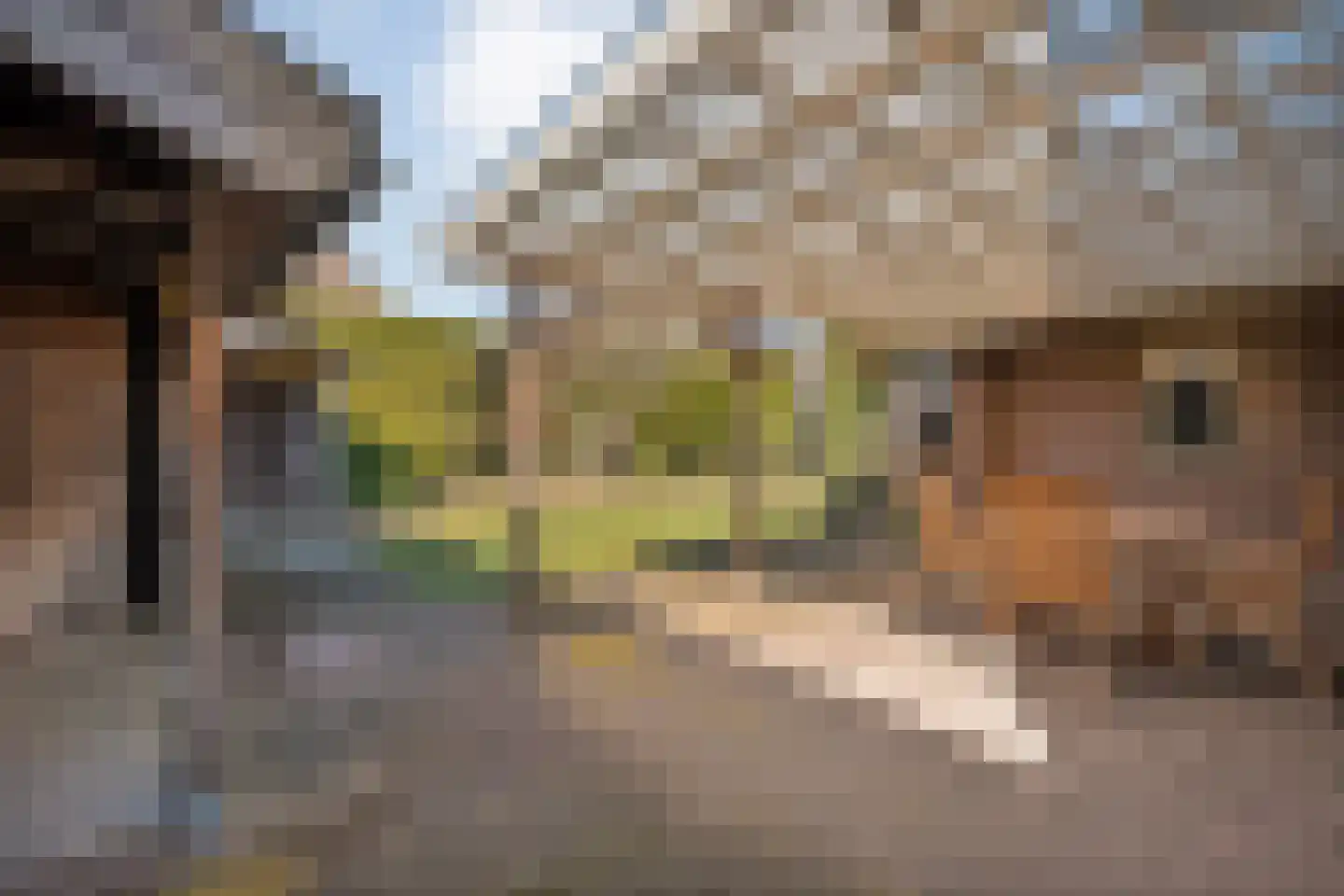 Waterlelie 11 Hardenberg thumbnail 41