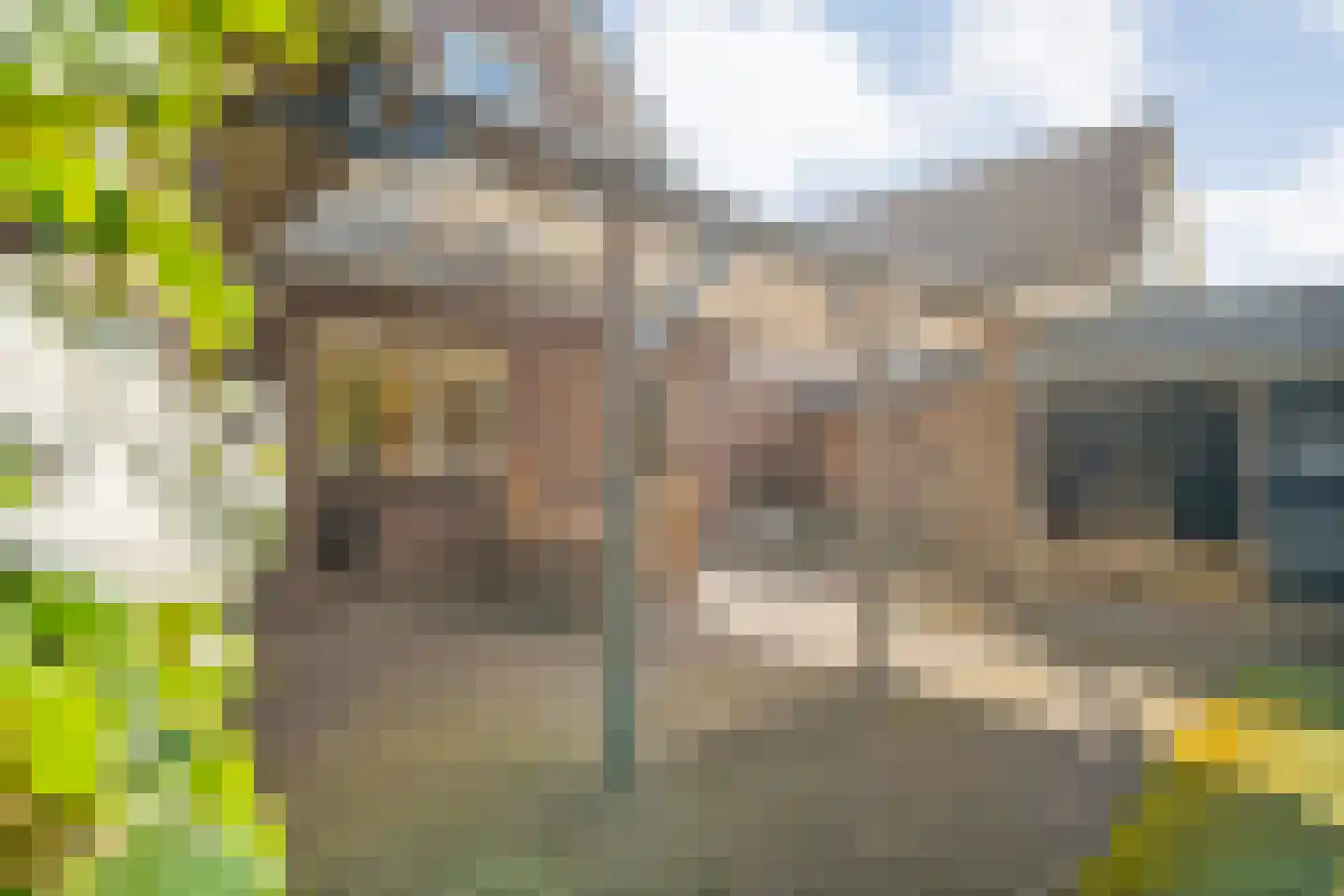 Waterlelie 11 Hardenberg thumbnail 43