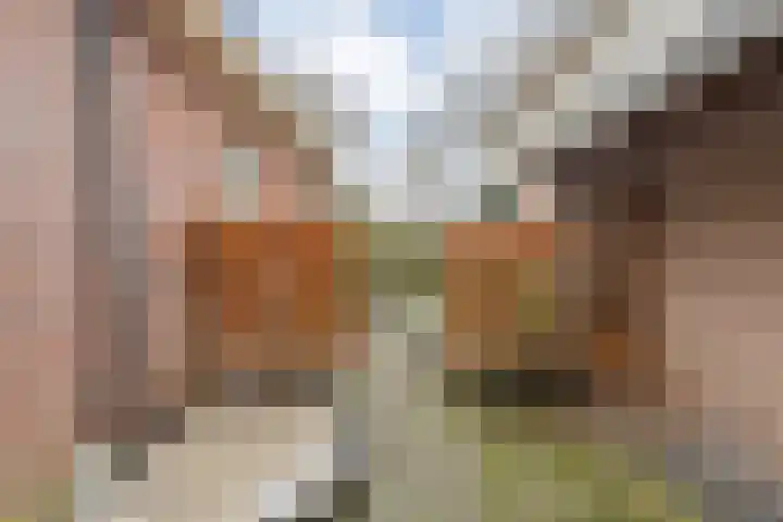Waterlelie 11 Hardenberg thumbnail 43