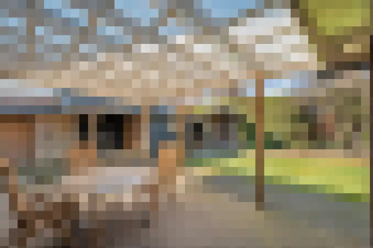Waterlelie 11 Hardenberg thumbnail 44