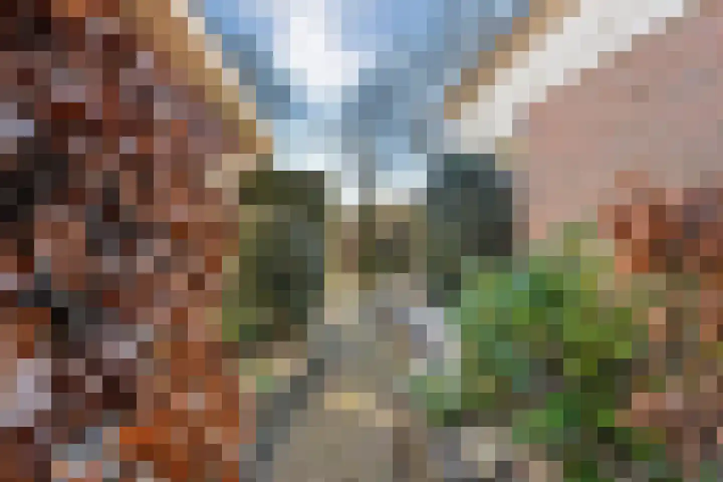 Waterlelie 11 Hardenberg thumbnail 45