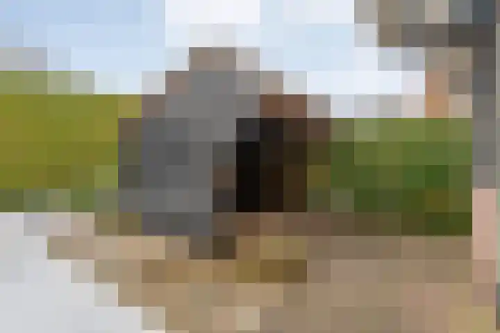 Waterlelie 11 Hardenberg thumbnail 47