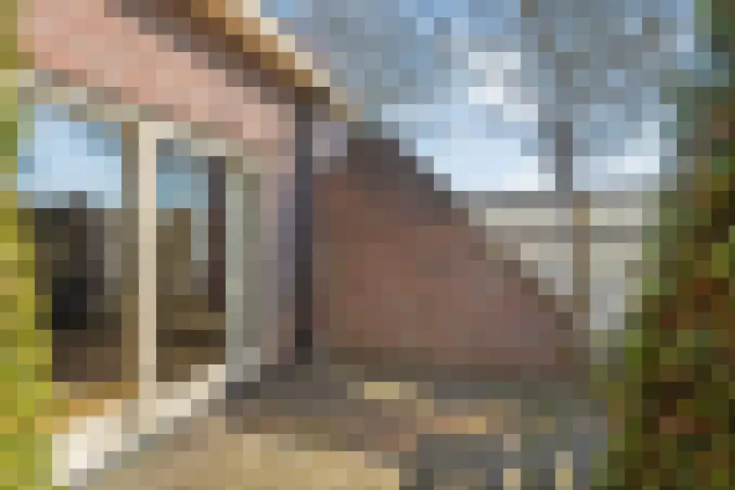 Waterlelie 11 Hardenberg thumbnail 47