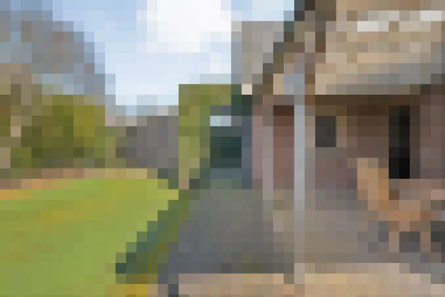 Waterlelie 11 Hardenberg thumbnail 49