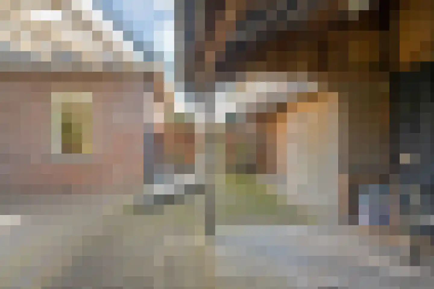 Waterlelie 11 Hardenberg thumbnail 50
