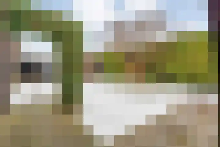 Waterlelie 11 Hardenberg thumbnail 50