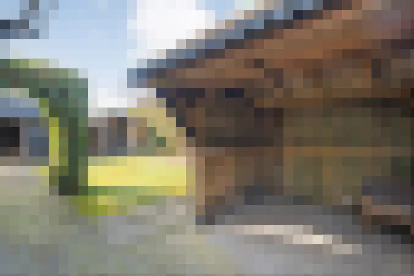 Waterlelie 11 Hardenberg thumbnail 51