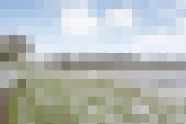Waterlelie 11 Hardenberg thumbnail 54