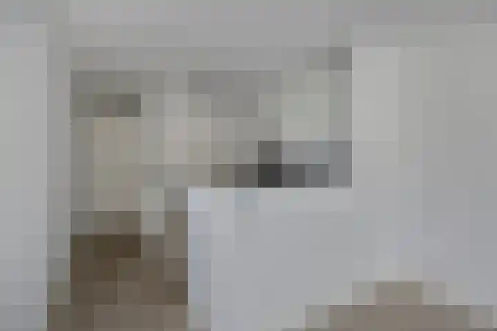 Waterlelie 11 Zwolle thumbnail 10