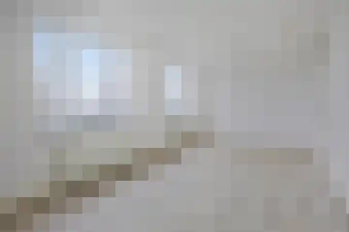 Waterlelie 11 Zwolle thumbnail 12