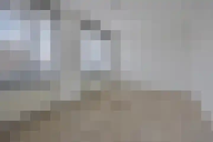 Waterlelie 11 Zwolle thumbnail 13
