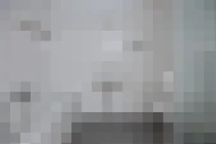 Waterlelie 11 Zwolle thumbnail 16