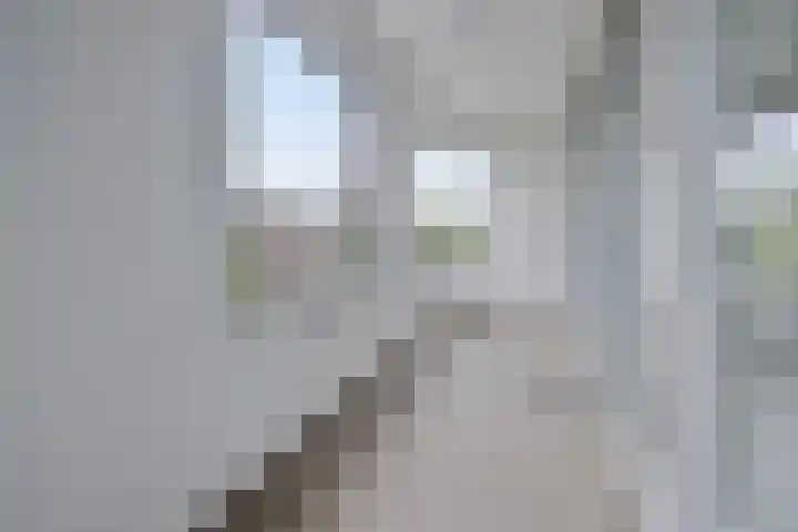 Waterlelie 11 Zwolle thumbnail 18