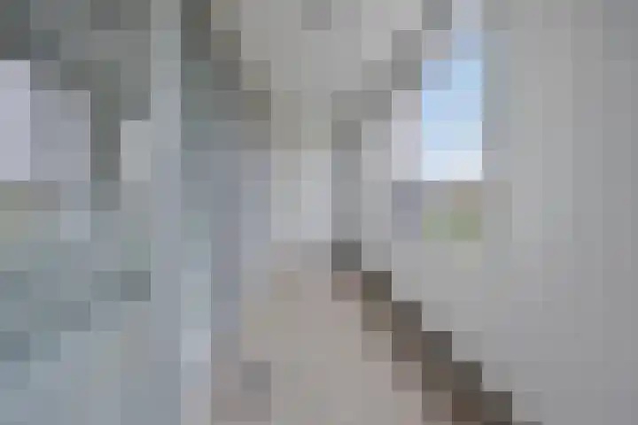 Waterlelie 11 Zwolle thumbnail 19