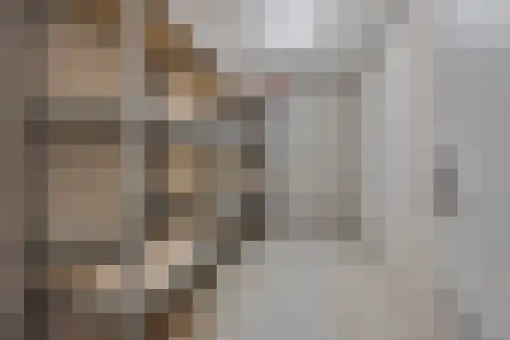 Waterlelie 11 Zwolle thumbnail 21