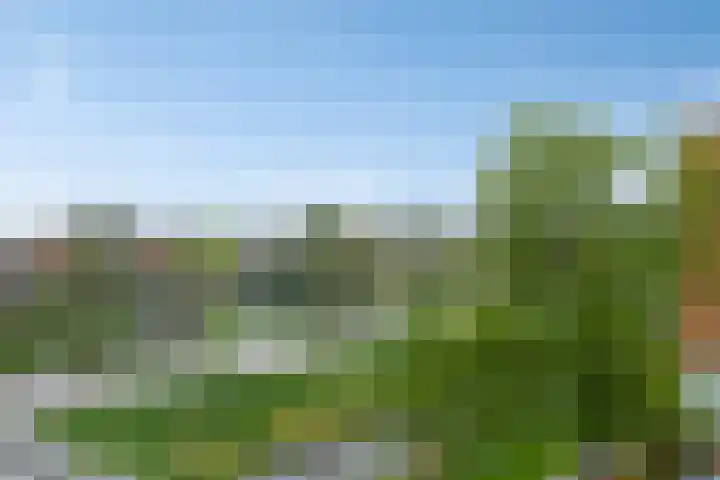 Waterlelie 11 Zwolle thumbnail 28