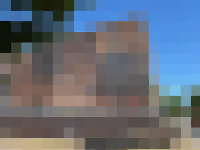 Waterlelie 11 Zwolle thumbnail 38