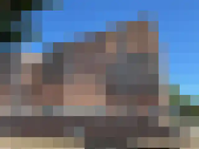 Waterlelie 11 Zwolle thumbnail 39