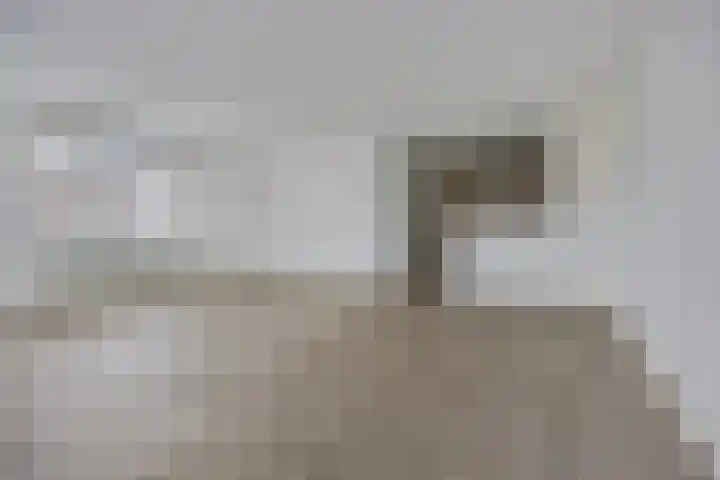 Waterlelie 11 Zwolle thumbnail 4