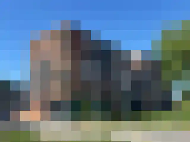 Waterlelie 11 Zwolle thumbnail 45