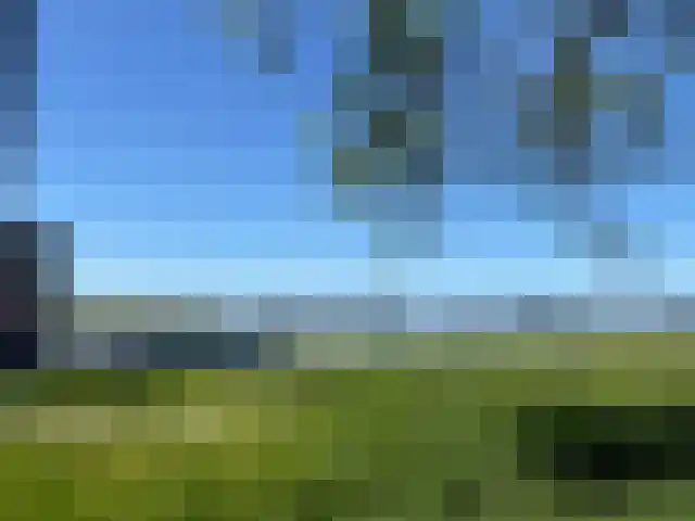 Waterlelie 11 Zwolle thumbnail 46