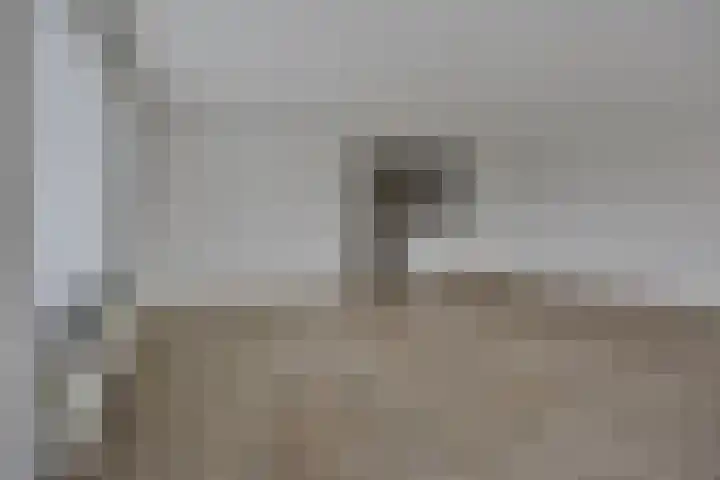 Waterlelie 11 Zwolle thumbnail 5