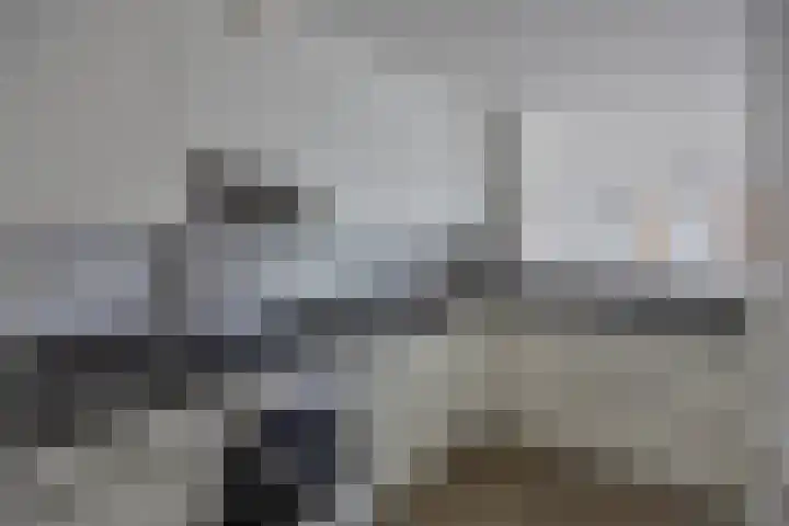 Waterlelie 11 Zwolle thumbnail 6