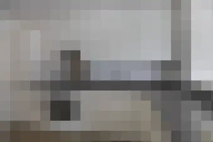 Waterlelie 11 Zwolle thumbnail 7