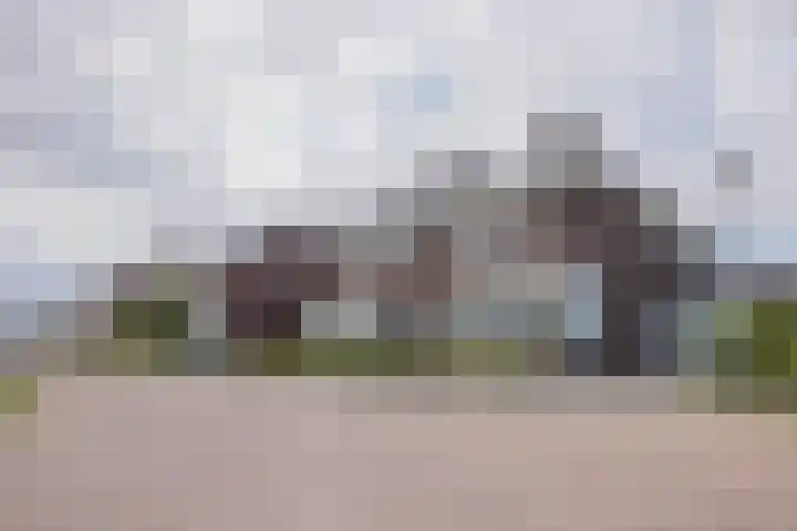 Waterlelie 13 Angerlo thumbnail 11