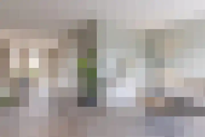 Waterlelie 13 Angerlo thumbnail 17