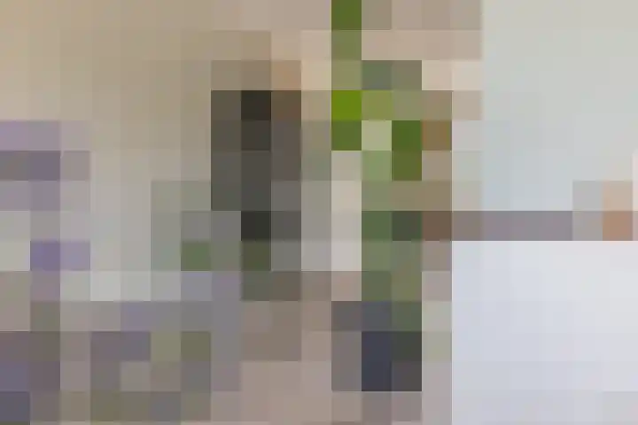 Waterlelie 13 Angerlo thumbnail 20