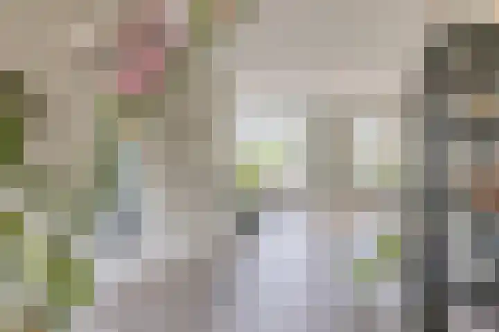 Waterlelie 13 Angerlo thumbnail 31