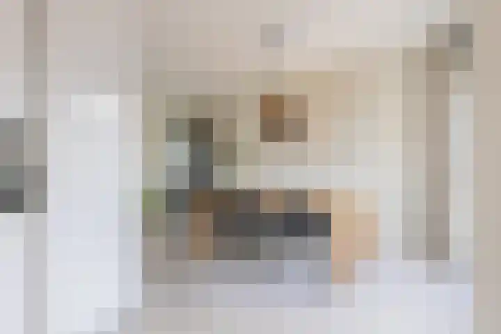 Waterlelie 13 Angerlo thumbnail 36