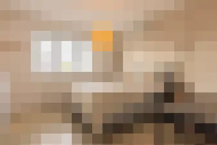 Waterlelie 13 Angerlo thumbnail 38