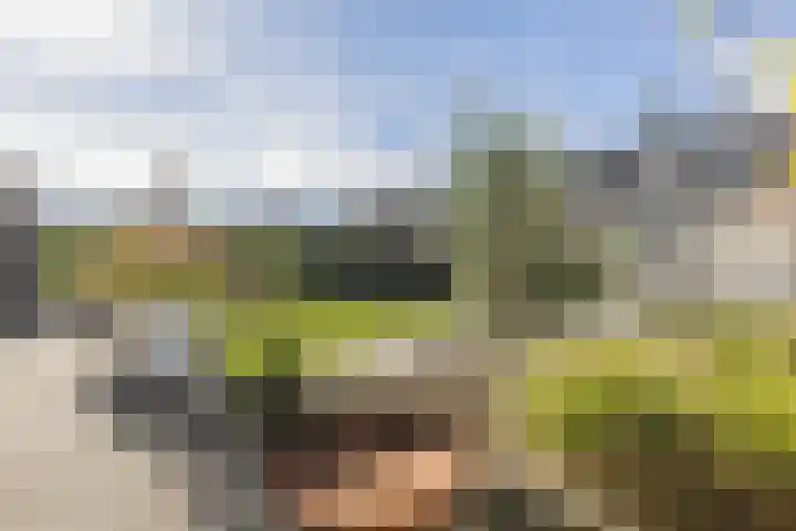 Waterlelie 13 Angerlo thumbnail 66