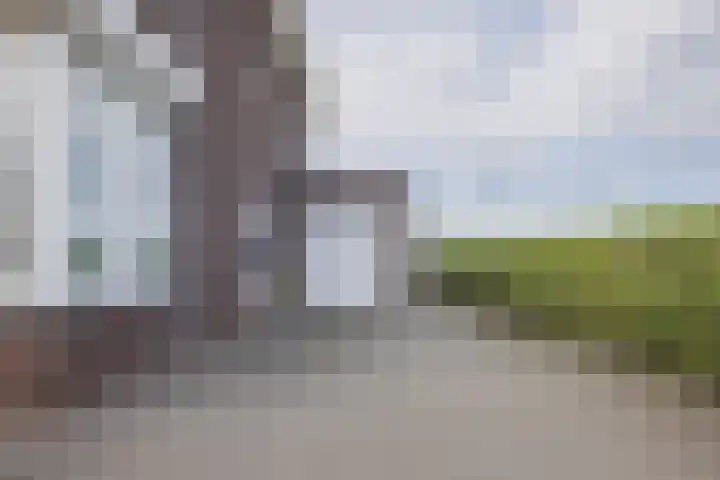 Waterlelie 13 Angerlo thumbnail 8