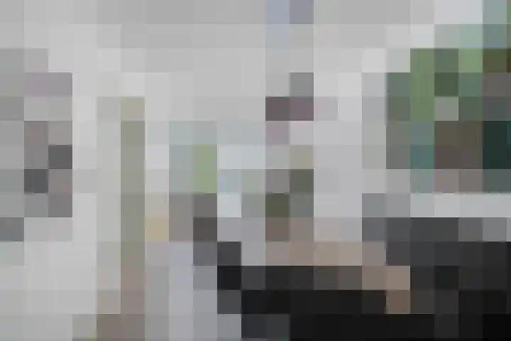 Waterlelie 13 Marknesse thumbnail 12