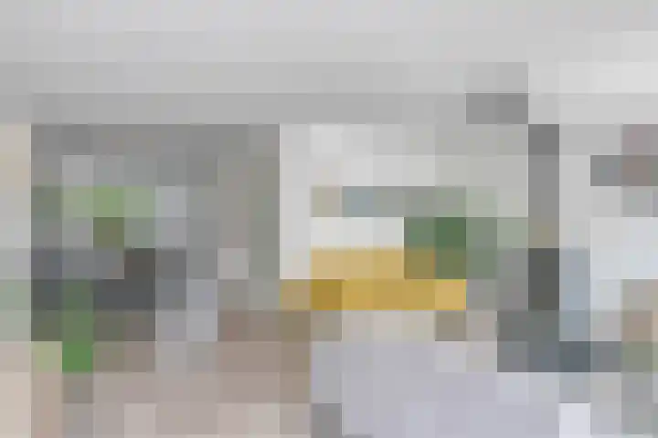 Waterlelie 13 Marknesse thumbnail 14